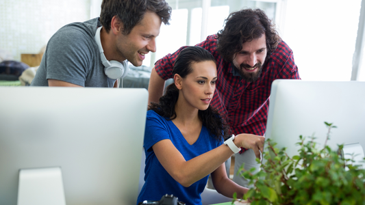 Tampa’s Top SEO Experts for Small Businesses with Big Goals