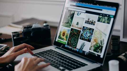 Where to Find Highly-Rated Website Design Agencies Near You