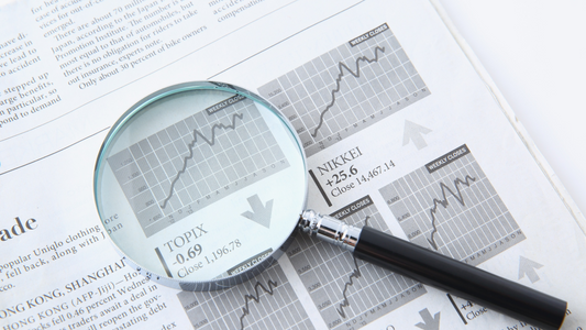 Must-Know Tampa Website Design Trends for Business Growth