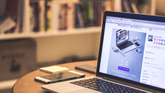 Tampa Internet Marketing Services That Drive Real Business Growth
