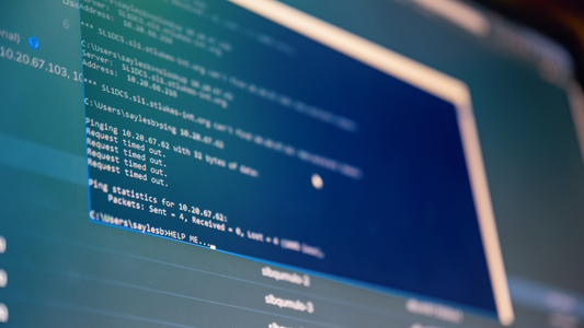 Transforming Your Business with Custom Web Development in Tampa