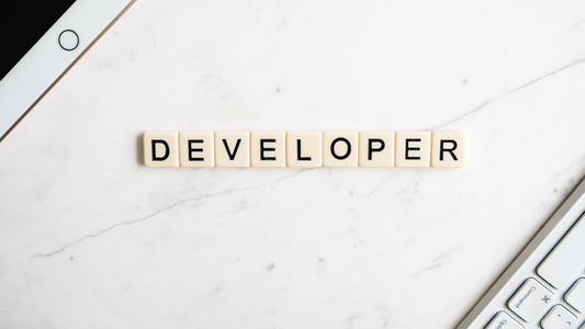 The Benefits of Partnering with Professional Web Developers in Tampa