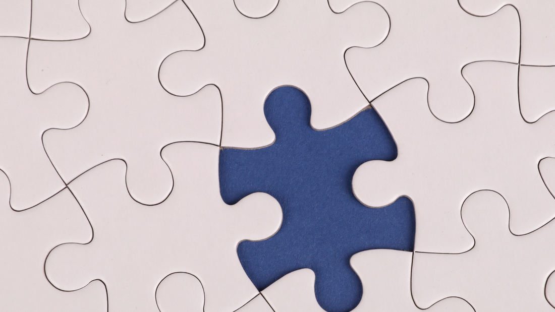 Modern Website Solutions from St. Pete Professionals to Grow Your Brand
