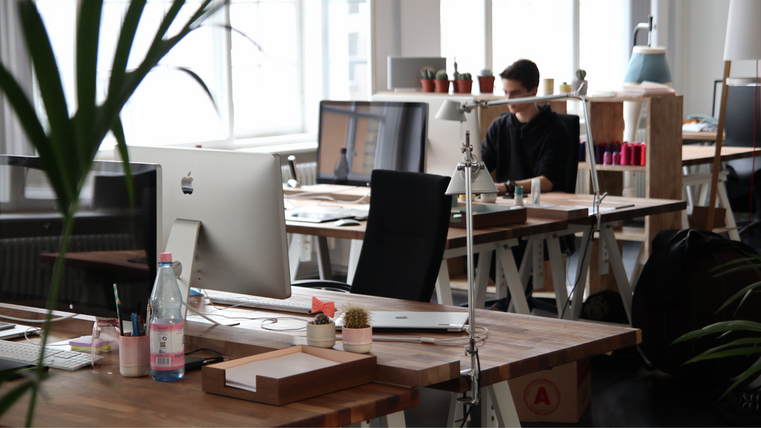 What a Tampa Digital Marketing Agency Can Do for Your Business