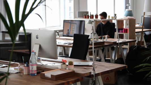 What a Tampa Digital Marketing Agency Can Do for Your Business
