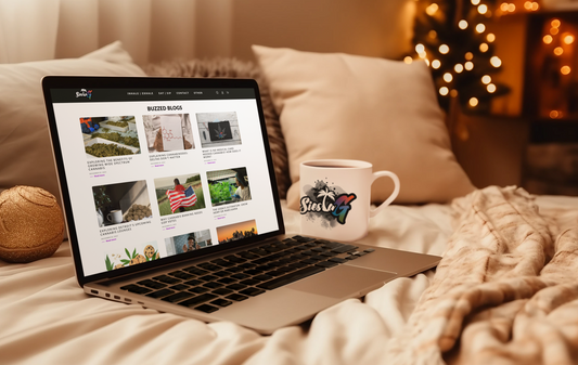 Why 2024 is the Most Important Year for Website Upgrades