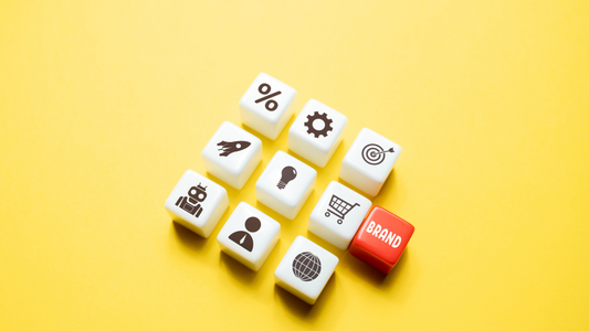 Rebranding in Tampa? Here’s How Dezerv.Co Can Help You Shine
