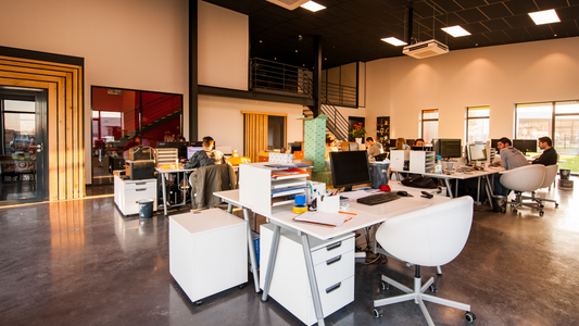 From Startups to Giants: Why Tampa Businesses Trust Dezerv.Co with Marketing